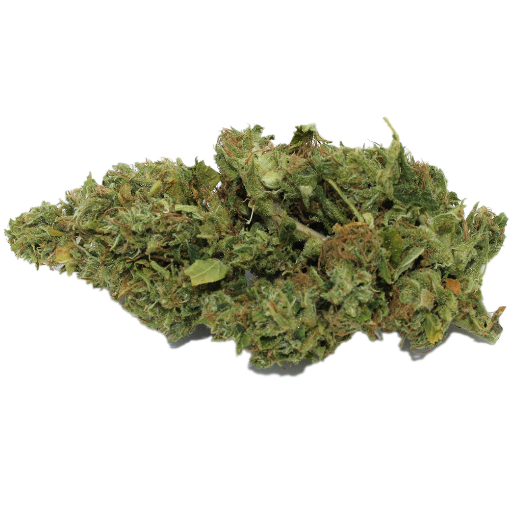 AC/DC by Temescal Wellness