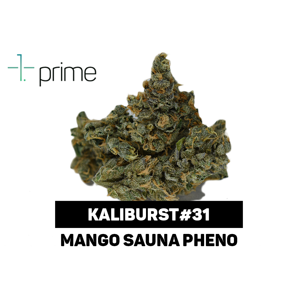 Kaliburst #31 by Prime Wellness