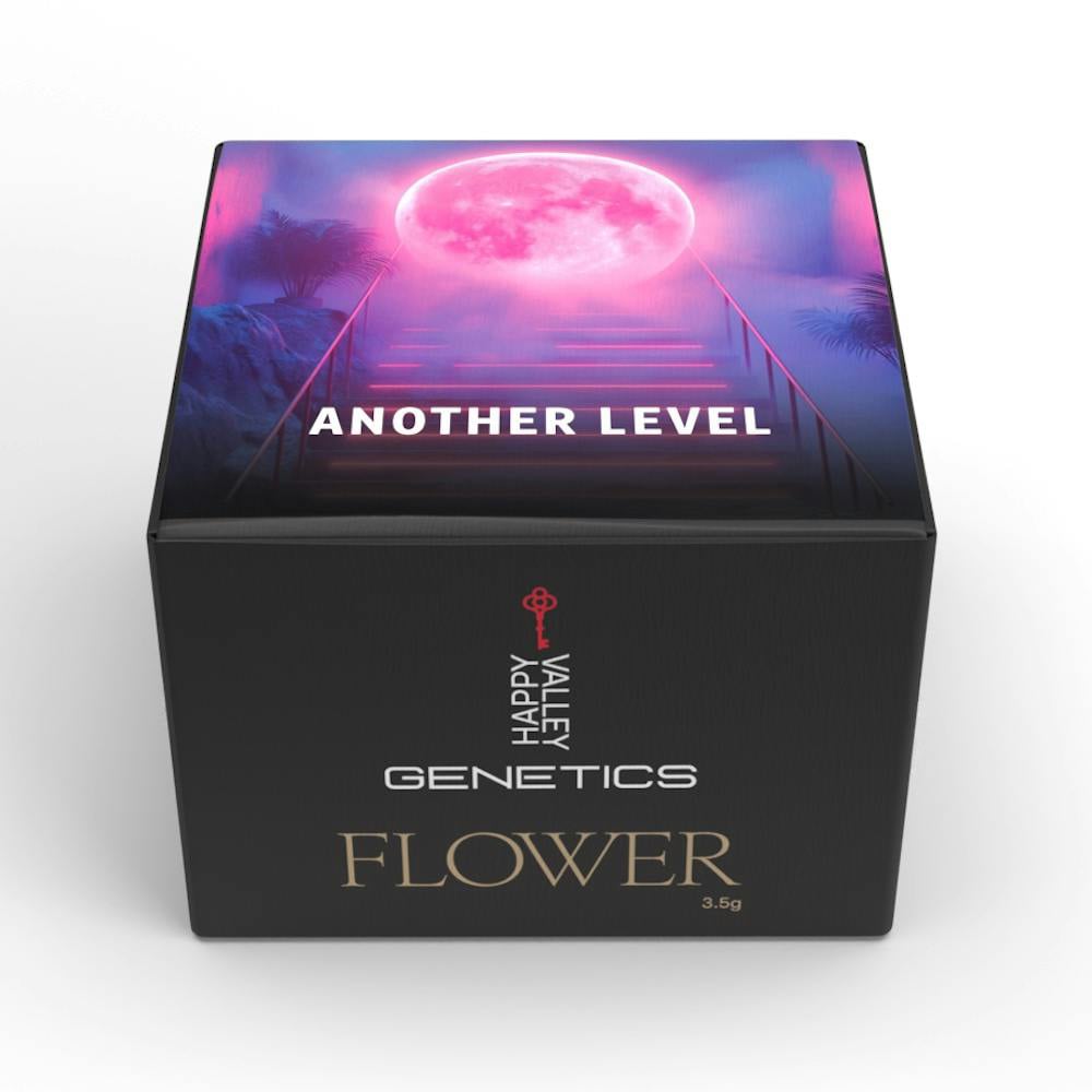 Another Level by Happy Valley