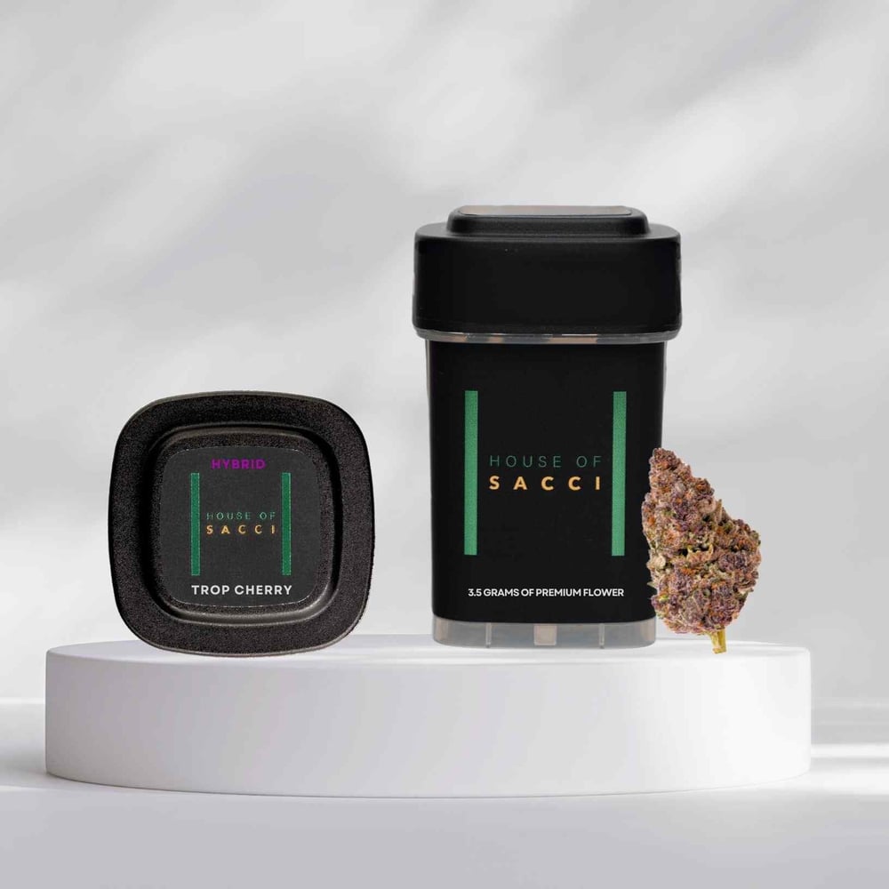 Trop Cherry by House of Sacci