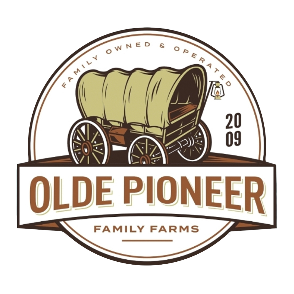 A+B [4g] by Olde Pioneer