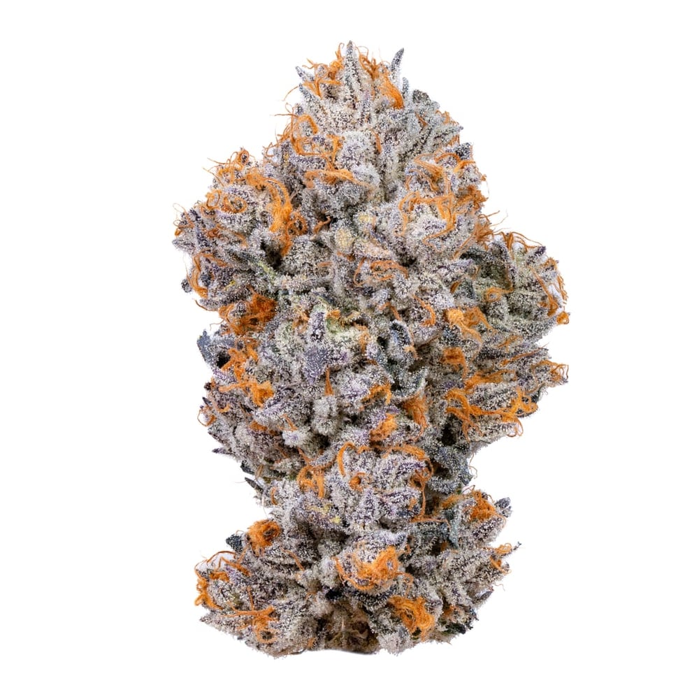 Biscotti x Metro [10g] by Connected Cannabis Co
