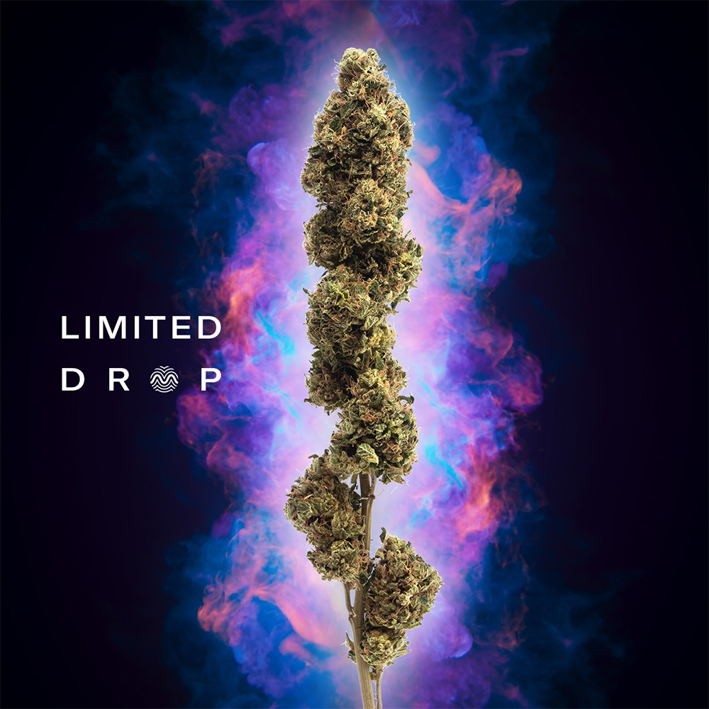Apple Cobbler [10g] by RYTHM