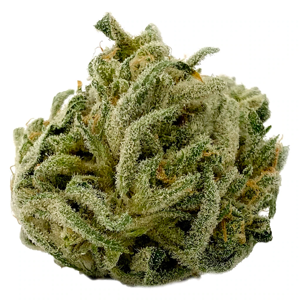 AMX Haze by MTL