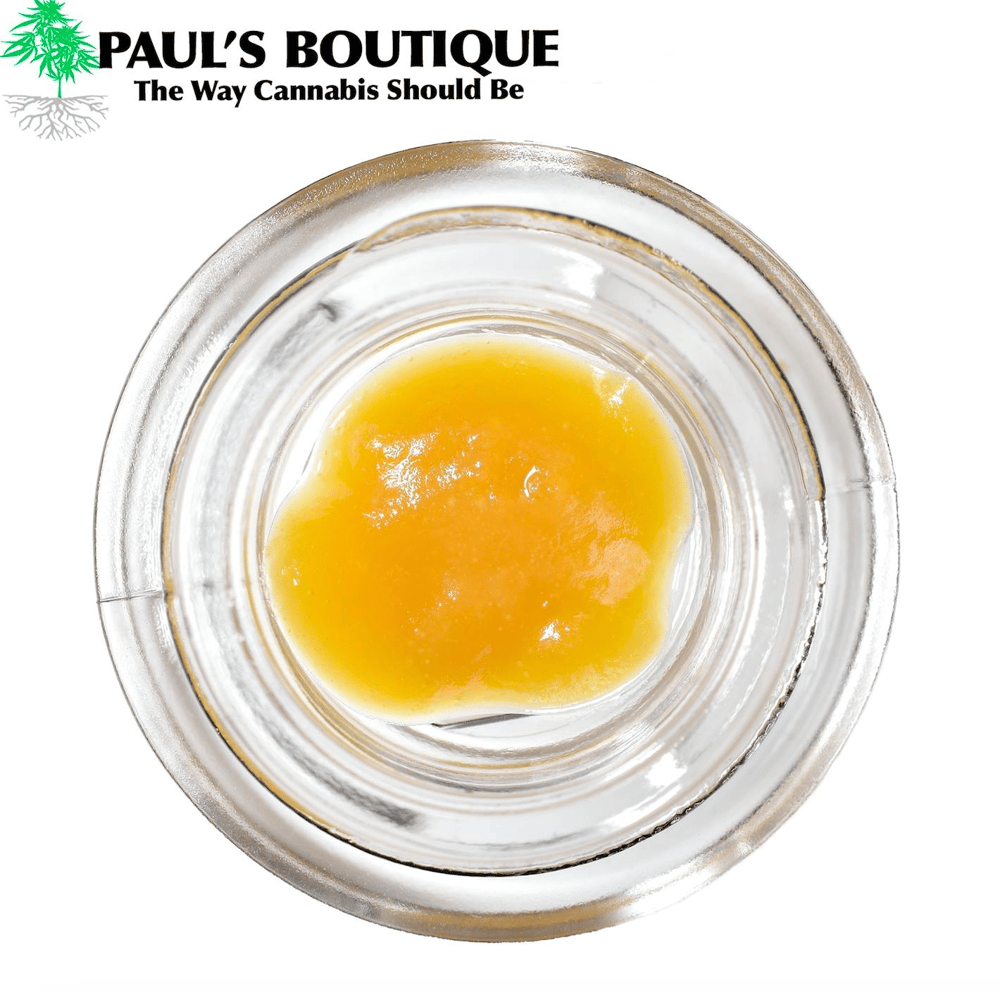 Nevada Mints by Paul's Boutique