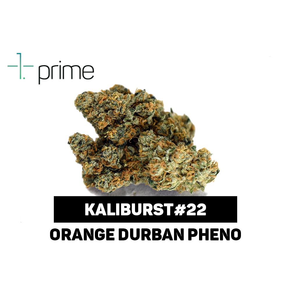 Kaliburst #22 by Prime Wellness