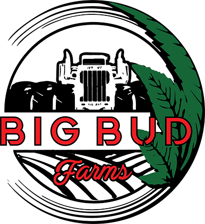 Bangers x Mac [1g] by Big Bud Farms
