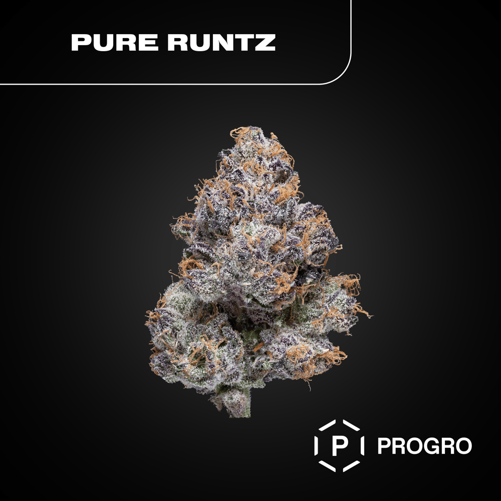 Pure Runtz by Pro Gro
