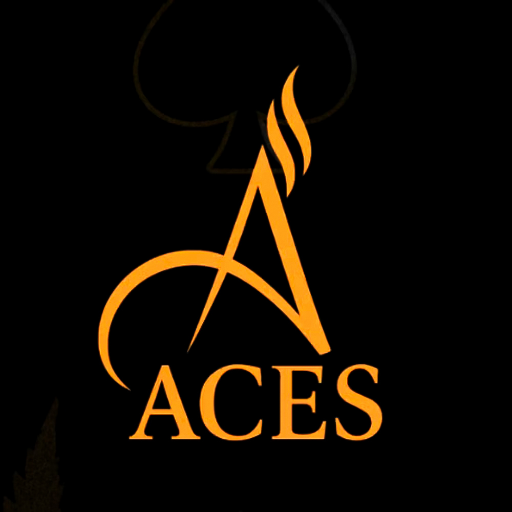 Wild Card [1g] by Ace's