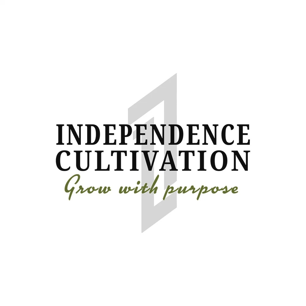 Apple Fritter by Independence Cultivation