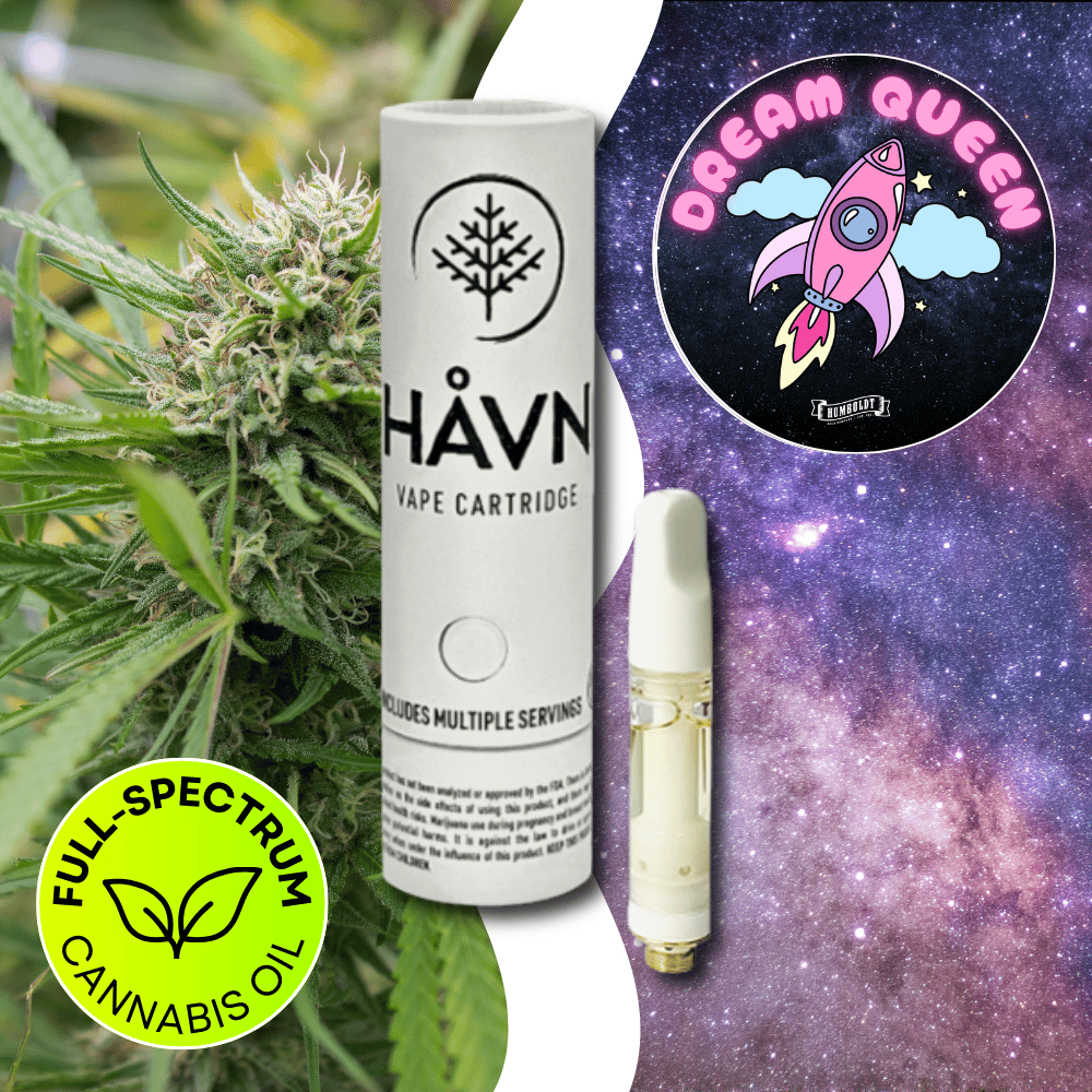 Dream Queen by HÅVN Extracts