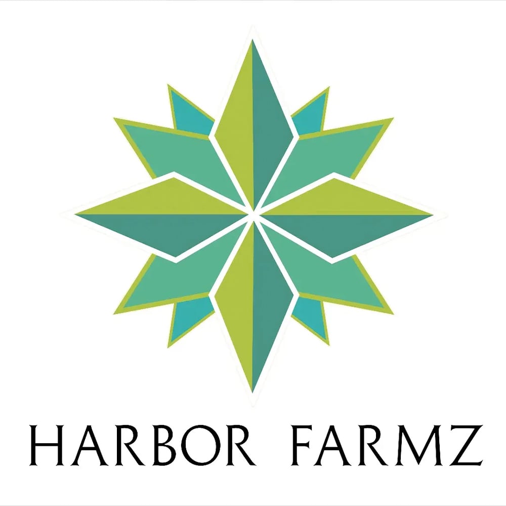GG4 x Cataract Kush by Harbor Farmz