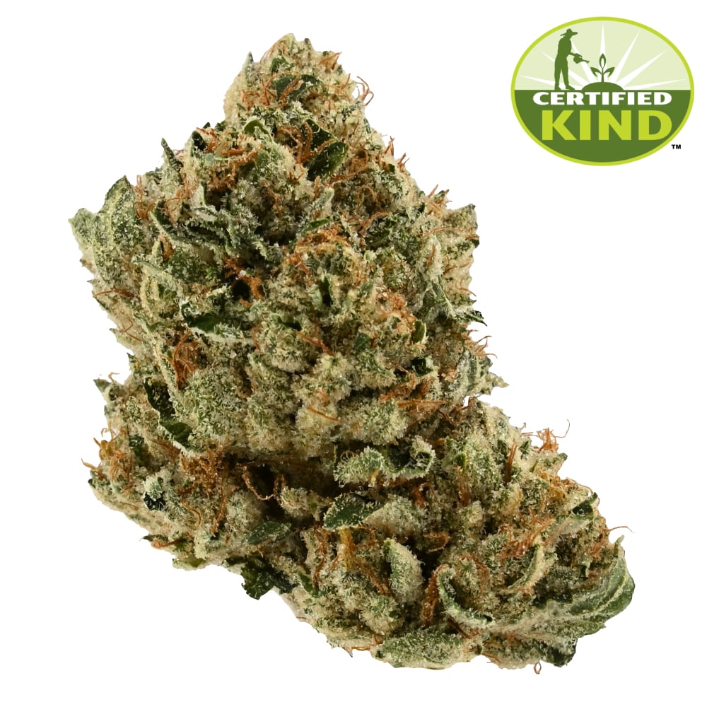 Motorbreath #15 by FarmaceuticalRx