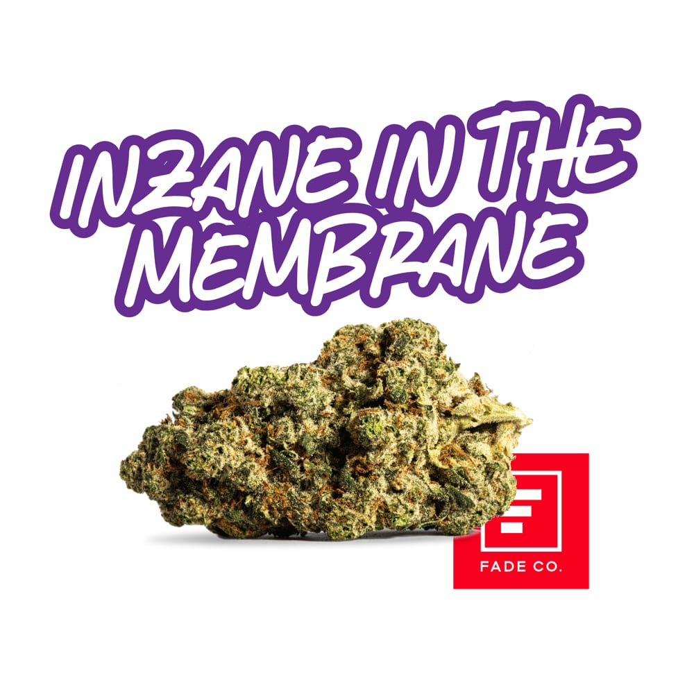 Inzane n' the Membrane by Fade Co.