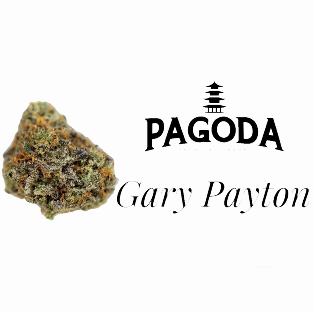 Gary Payton by Pagoda