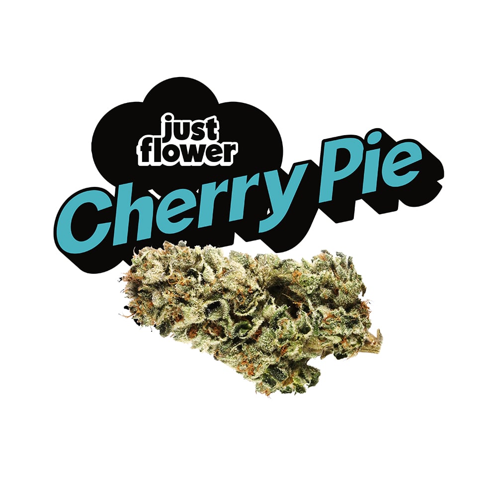 Cherry Pie [4g] by Just Flower
