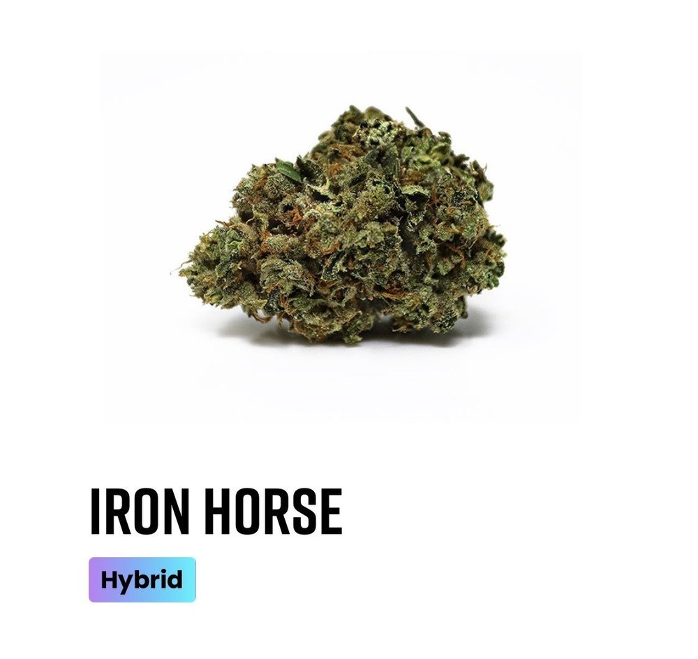 Iron Horse Kind Tree Beyond / Hello Dispensaries