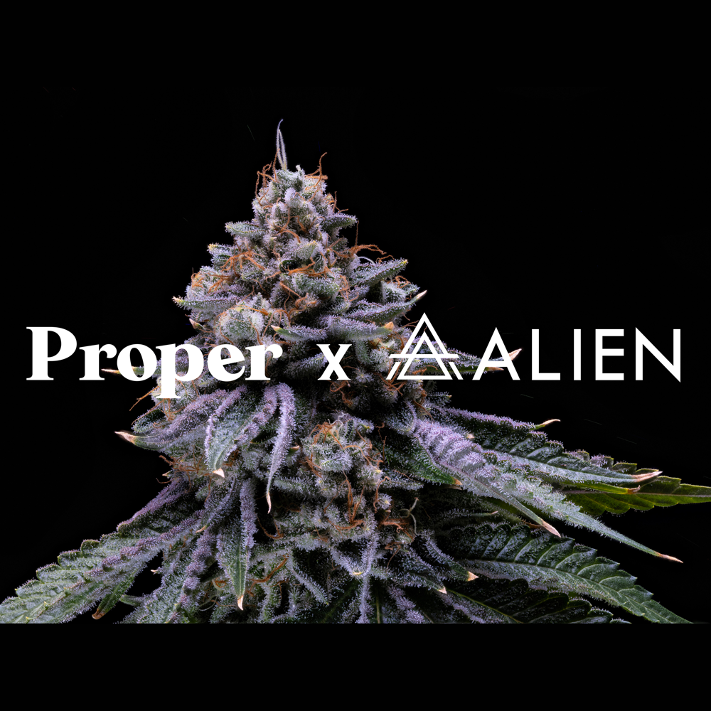 Alien Rock Sours #20 by Proper Cannabis