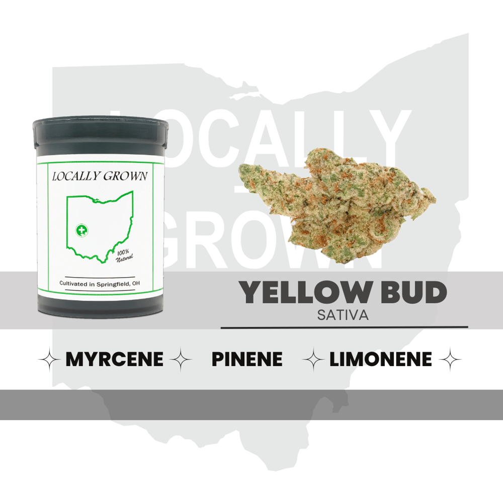 Yellow Bud [2.83g] by Locally Grown