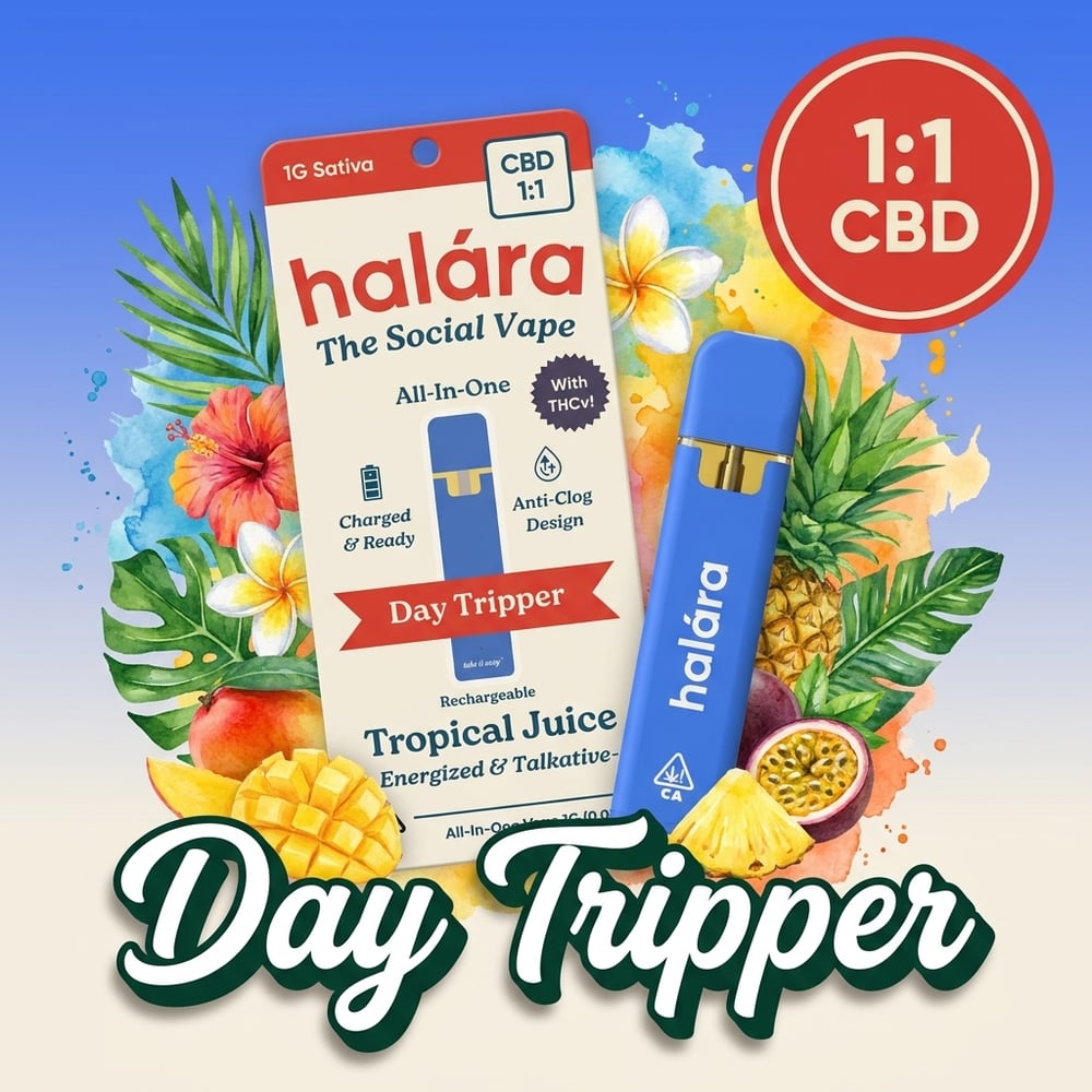 1:1 Day Tripper AIO by Halara