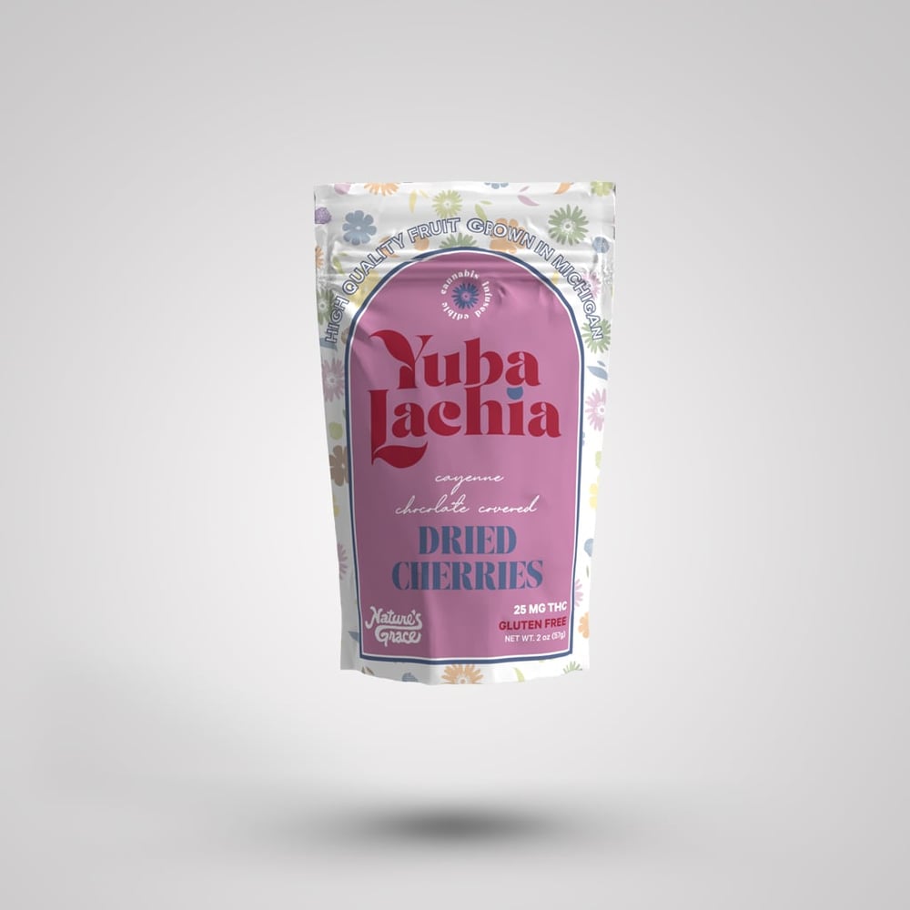 Cayenne Dark Chocolate Covered Dried Cherries (25mg) by Yubalachia