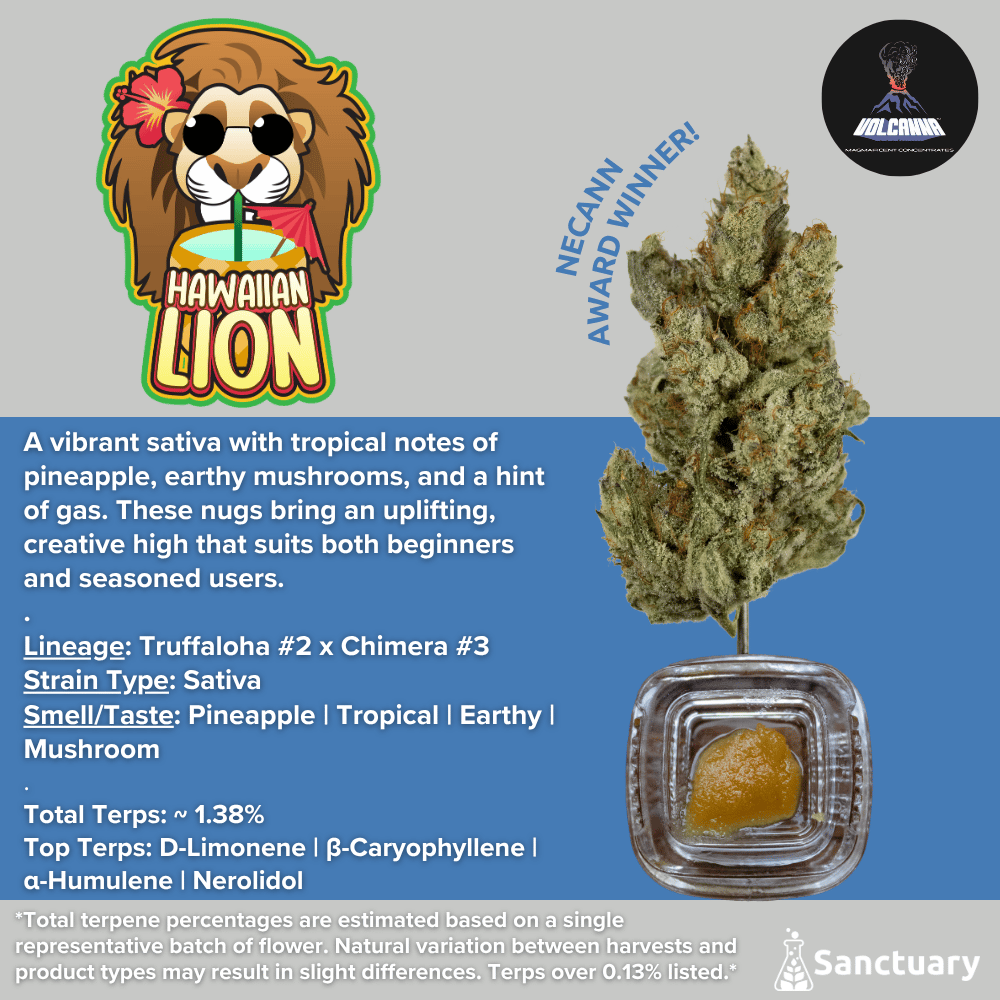 Sauce Baller Jar - Hawaiian Lion [4g] - Cured Resin by Volcanna