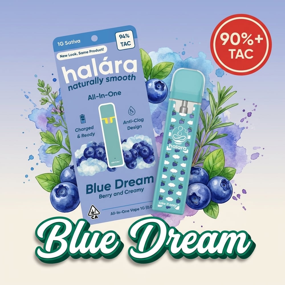 Blue Dream AIO by Halara