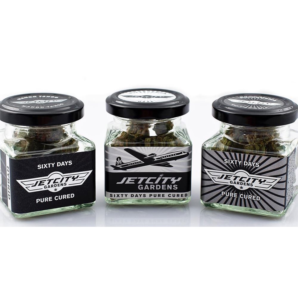 African Lime by Jet City Gardens