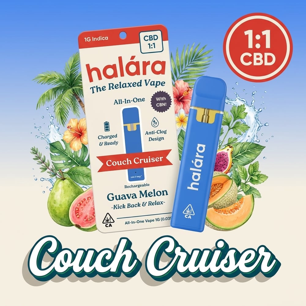 1:1 Couch Cruiser AIO by Halara