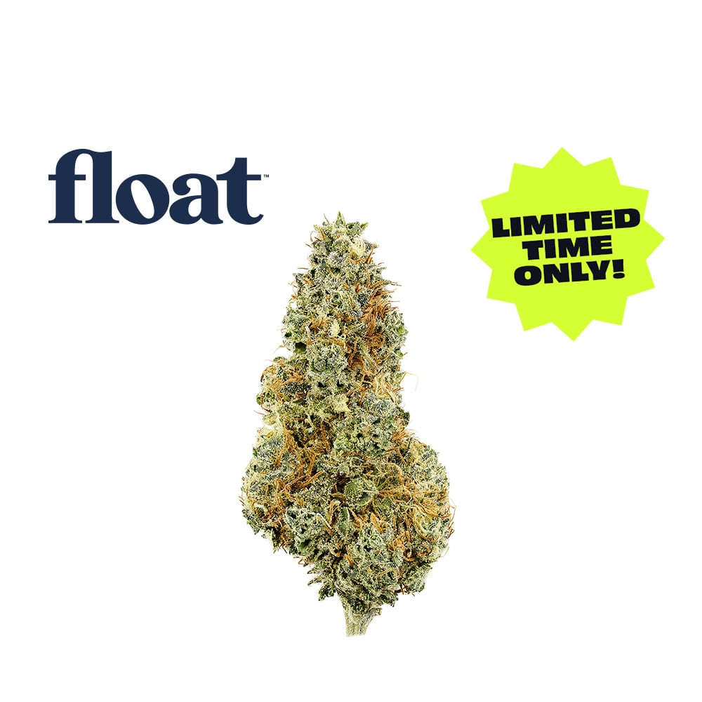 Zap N Burn by Float