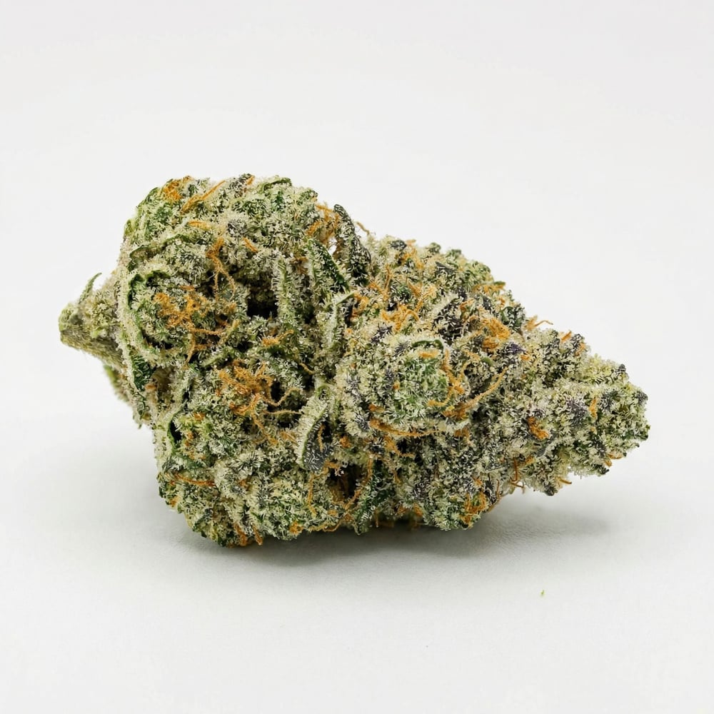 Mad Rabbid #5 by Flower Foundry