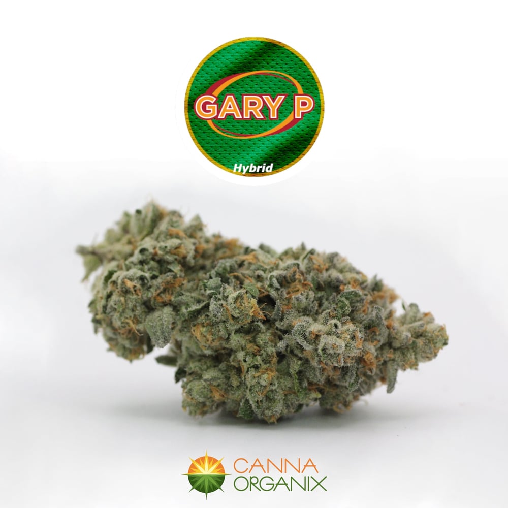 Gary Payton by Canna Organix