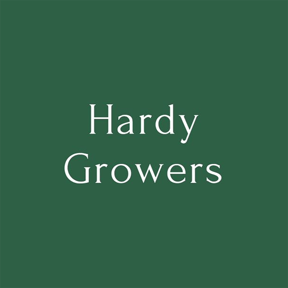 Apple Candie by Hardy Growers