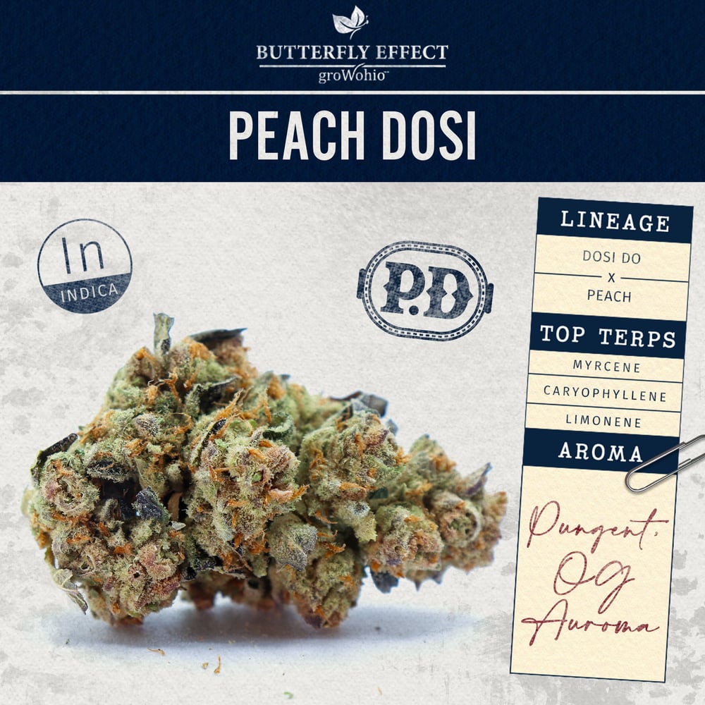 Peach Dosi by Butterfly Effect