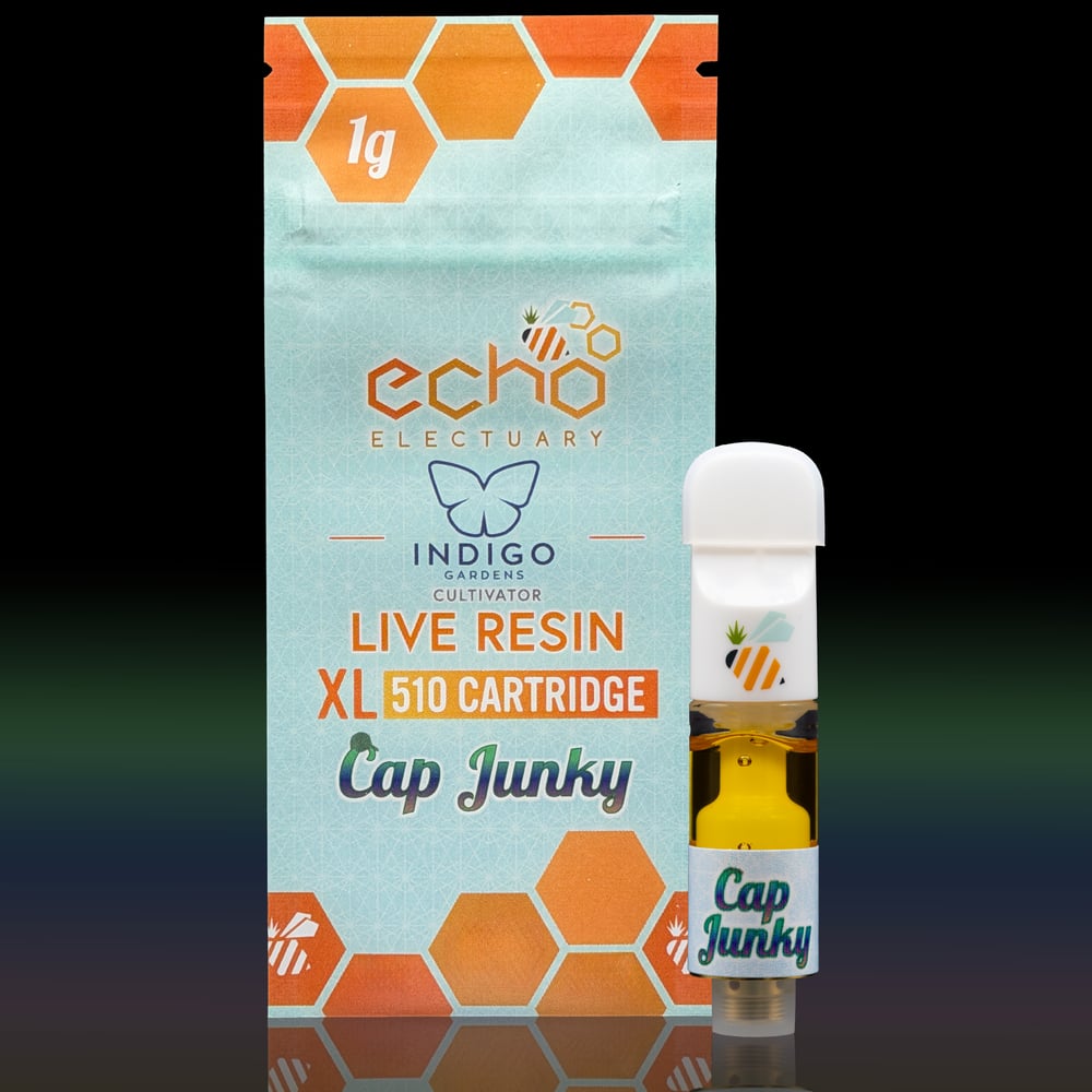 Cap Junky by Echo Electuary