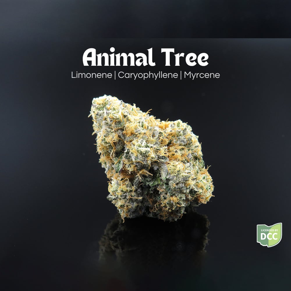 Animal Tree [14.15g] by Farkas Farms