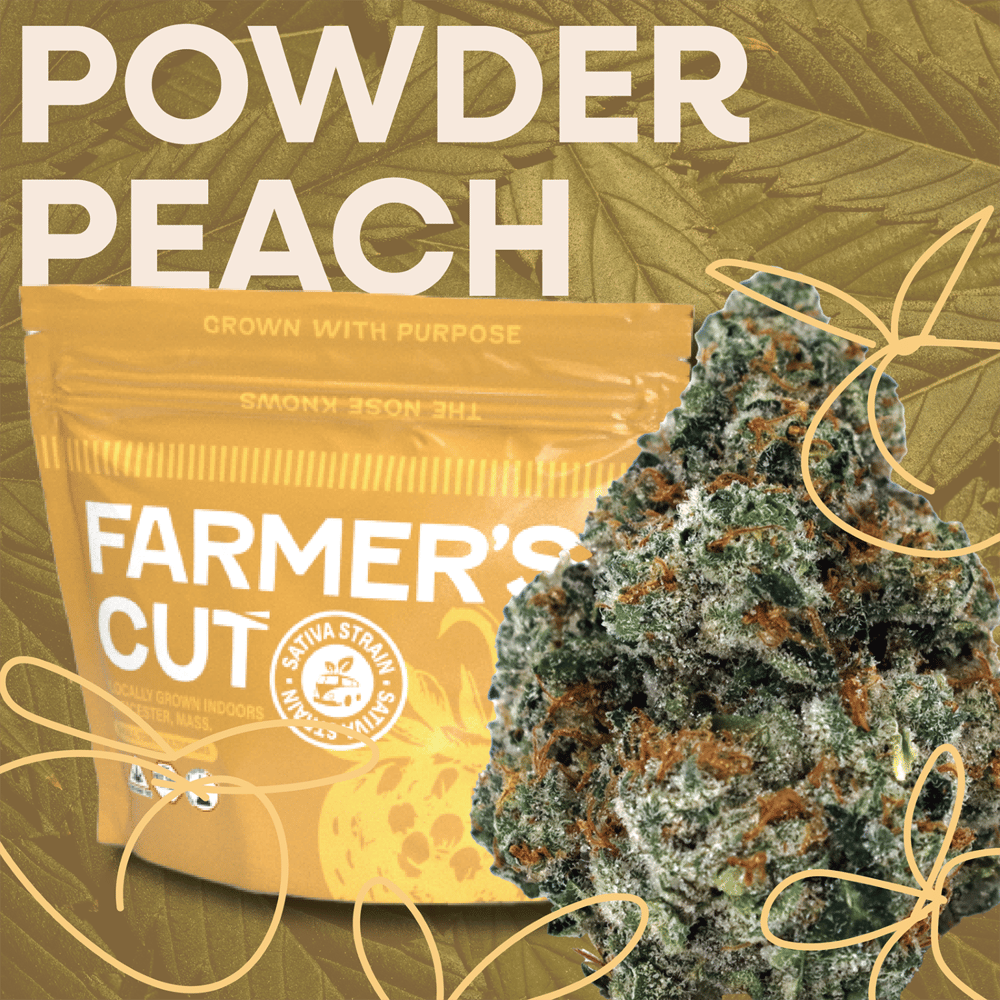 Powder Peach by Farmer's Cut