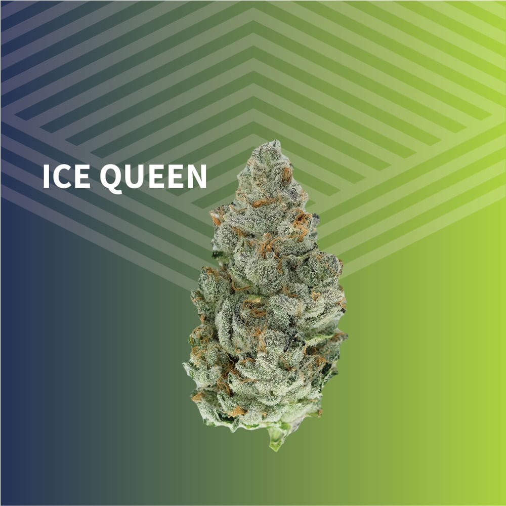 Ice Queen by Pure Dakota