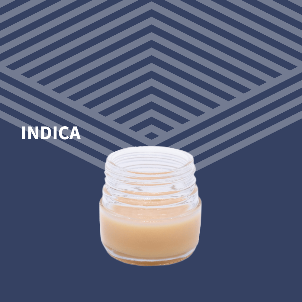 1:1 Lotion - Untz Muffin [20g] by Pure Dakota