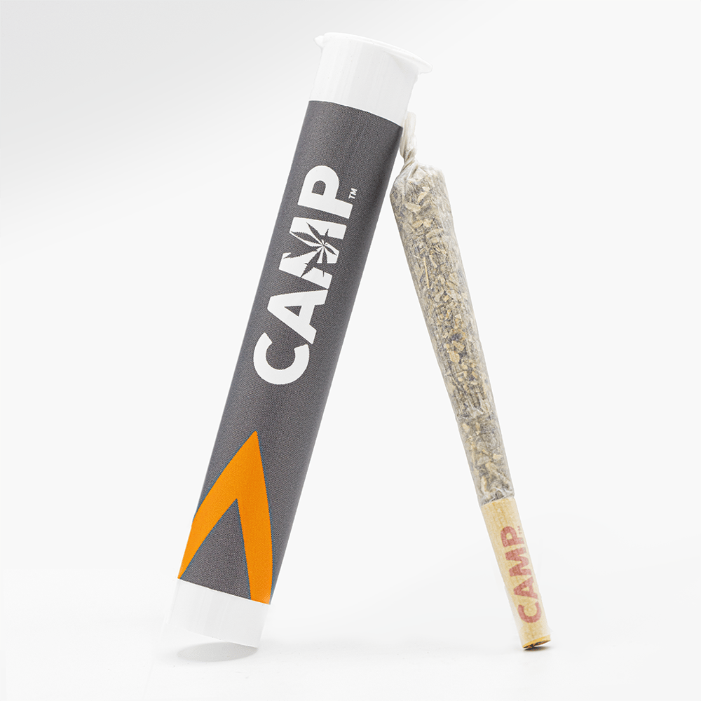 007 UP [1g] by CAMP