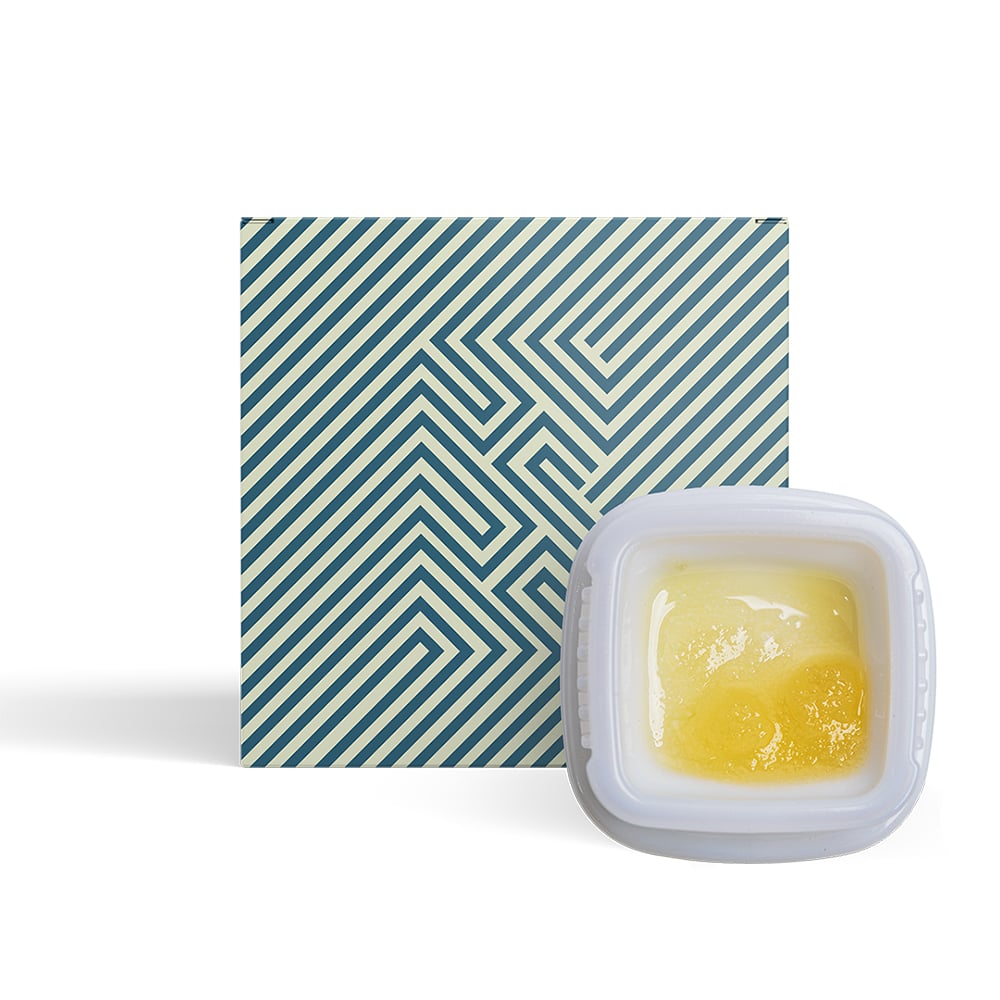BCC x Jealousy by Blotter
