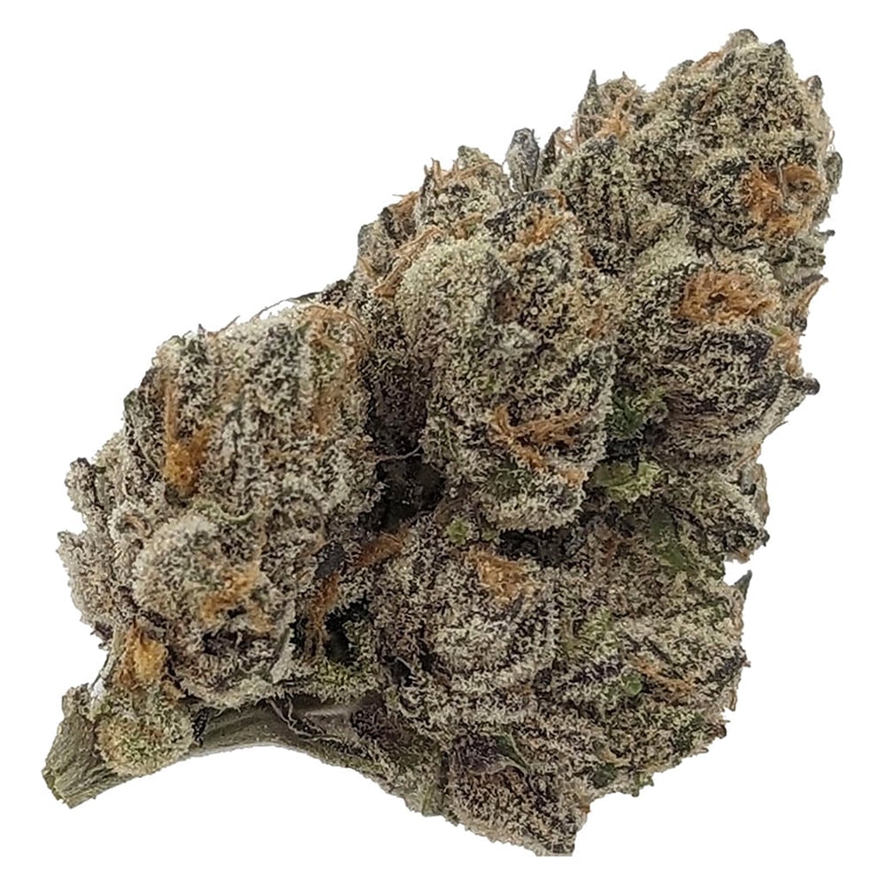 10 G's by Rocket Factory