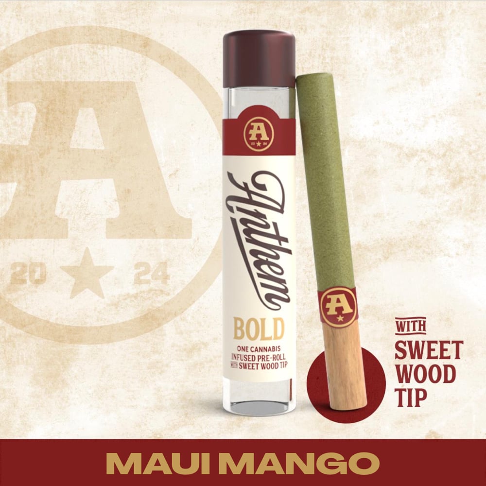 Bold Infused Maui Mango [1g] by Anthem in United States