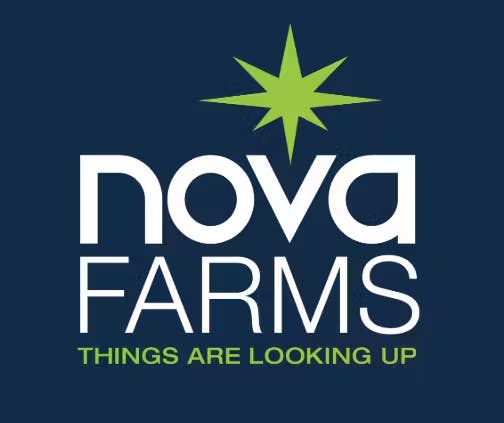 Acapulco Gold [500mg] by Nova Farms