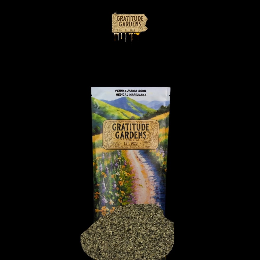 10 Trees by Gratitude Gardens