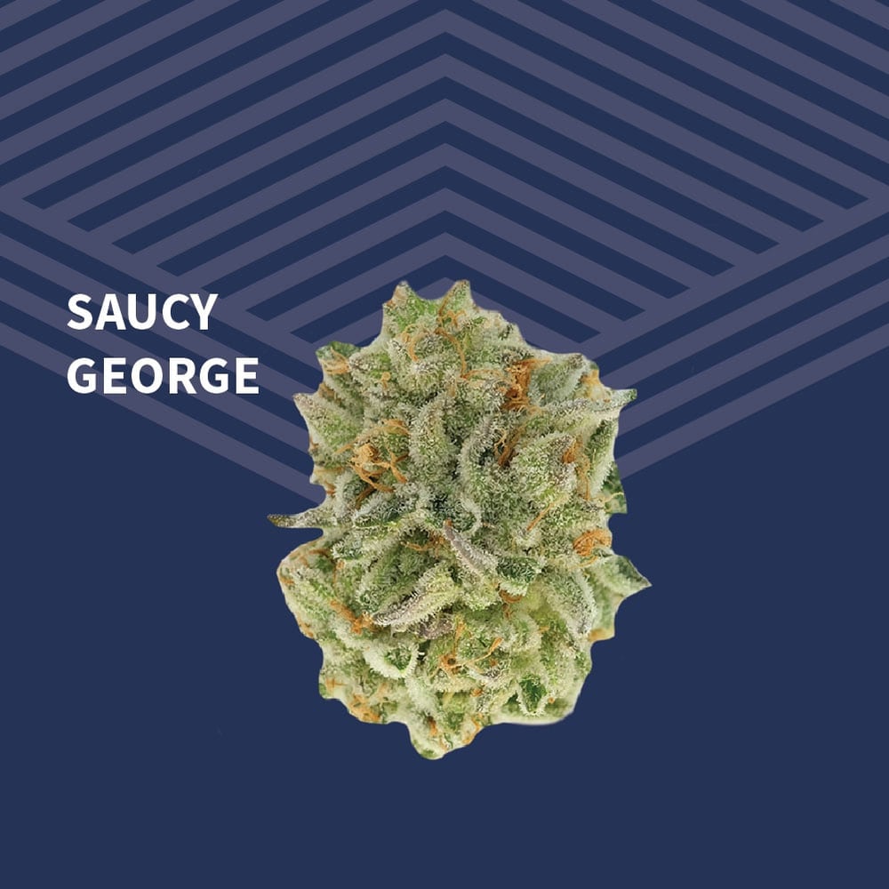 Saucy George by Pure Dakota