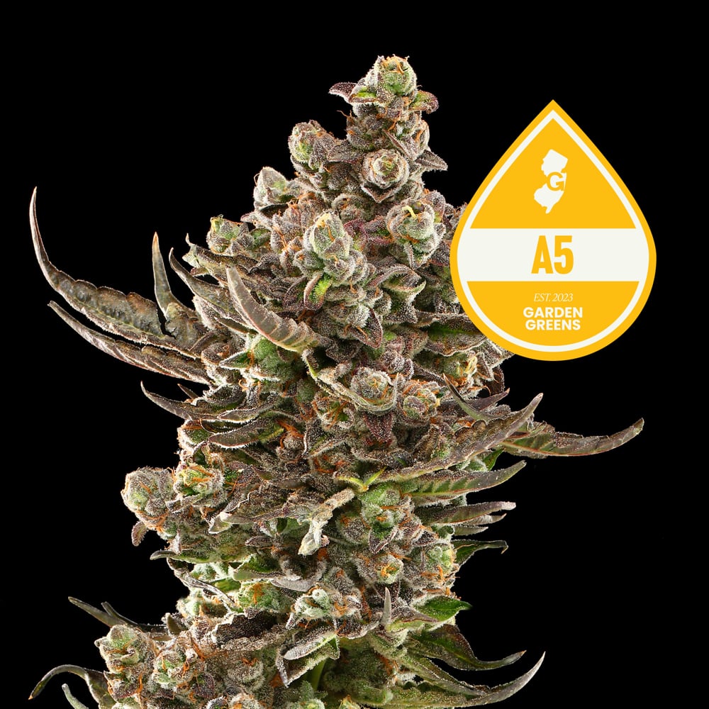 A5 by Garden Greens