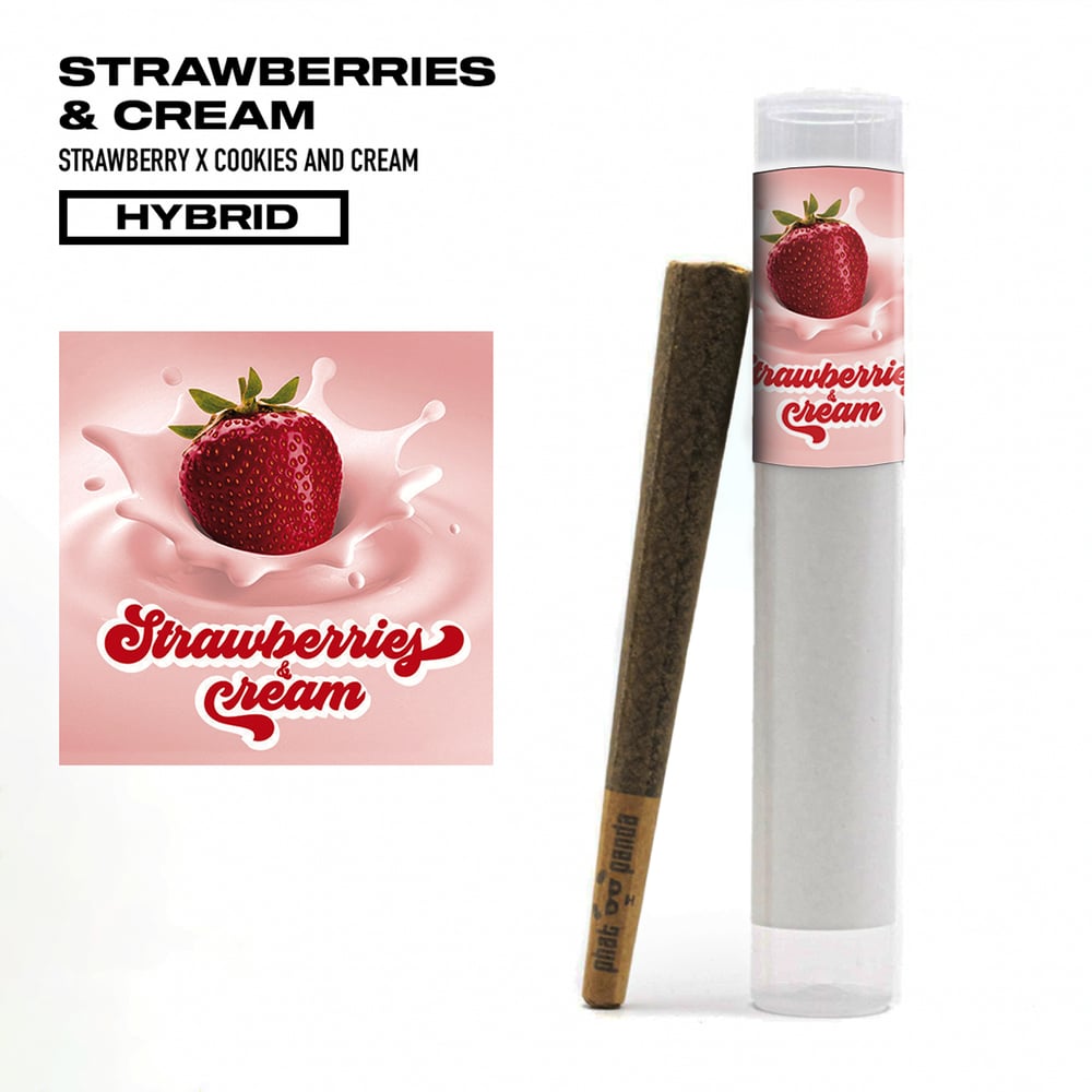 Strawberries & Cream [1g] by Phat Panda