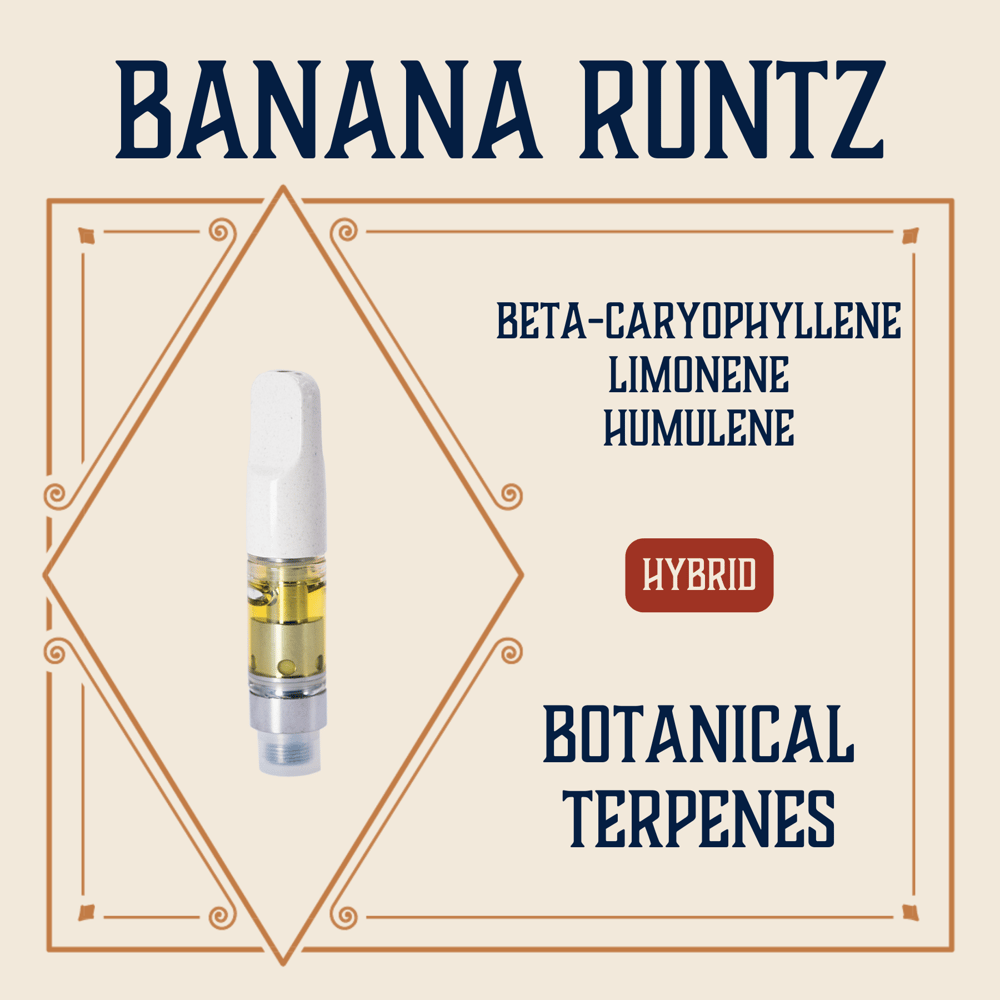 Banana Runtz by Elevate