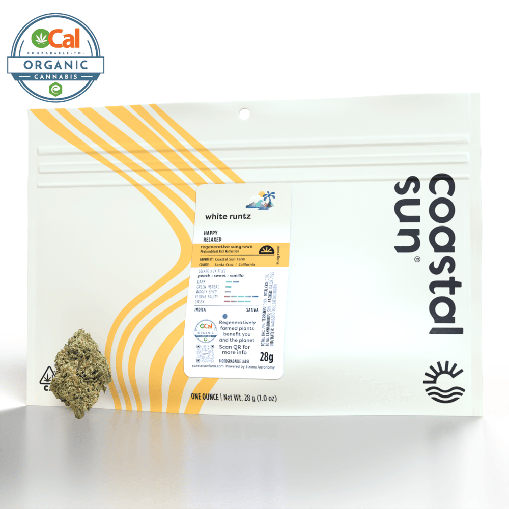 White Runtz by Coastal Sun in United States